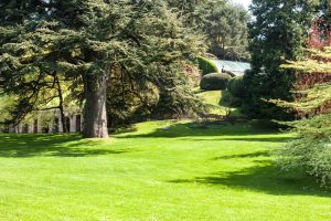 What Types of Grass Grow Best In New Jersey?