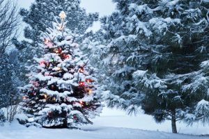 Why Hiring A Company For Holiday Lighting Is A Great Idea