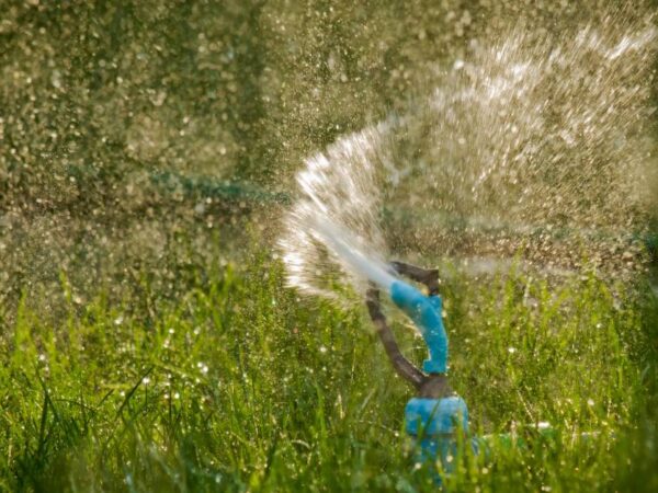 Get Sprinklers Installed By The Best