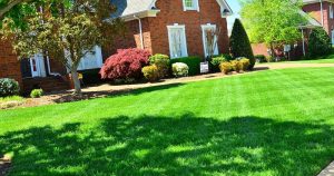 Why Use Irrigation On Your Commercial Property Lawn
