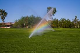 Types Of Irrigation For Your Home Garden