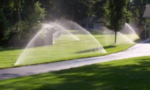 Benefits Of Sprinklers In Your Yard