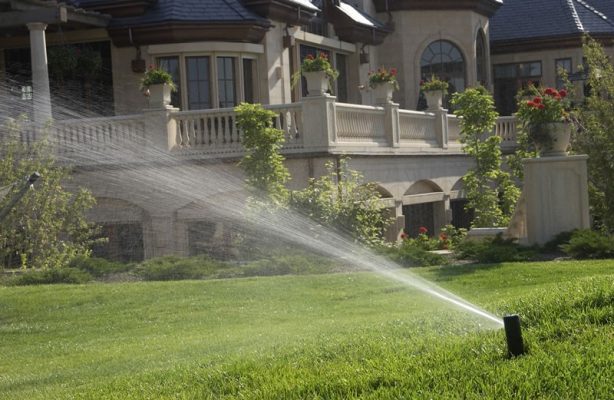 Pop Up Sprinkler Options for Irrigation – Which Do You Need And Why?