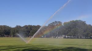 What Is The Best Time To Operate Sprinklers