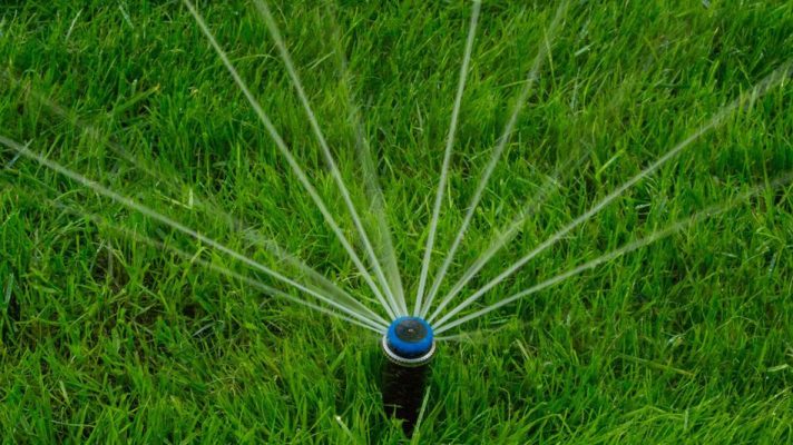 Top 5 Benefits Of A Sprinkler System