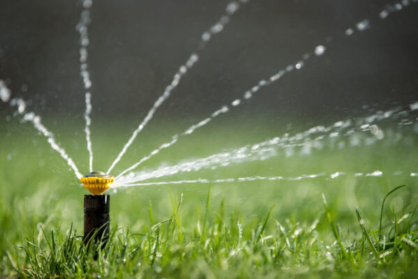 The Perfect Time to Water Your New Jersey Lawn: Expert Tips