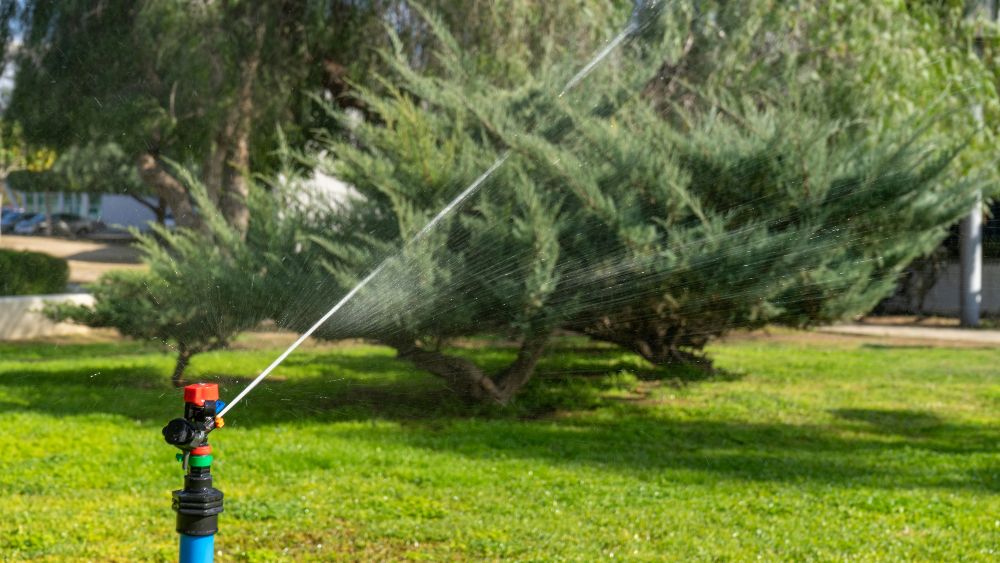 Lakewood Lawn Sprinkler Services