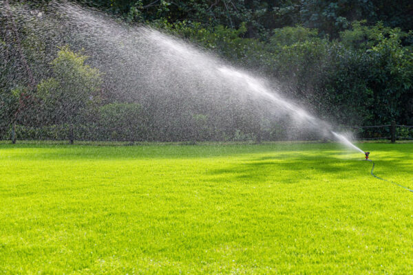Late Summer Irrigation Tips to Keep Your Lawn Green