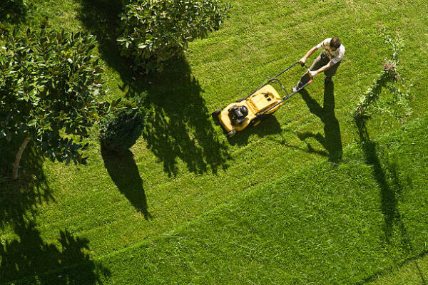 How to Prevent Lawn Burn During New Jersey Heatwaves