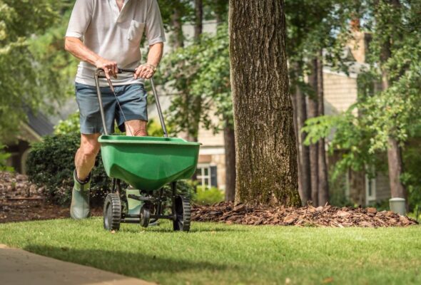 Professional Lawn Prep for Fall in New Jersey