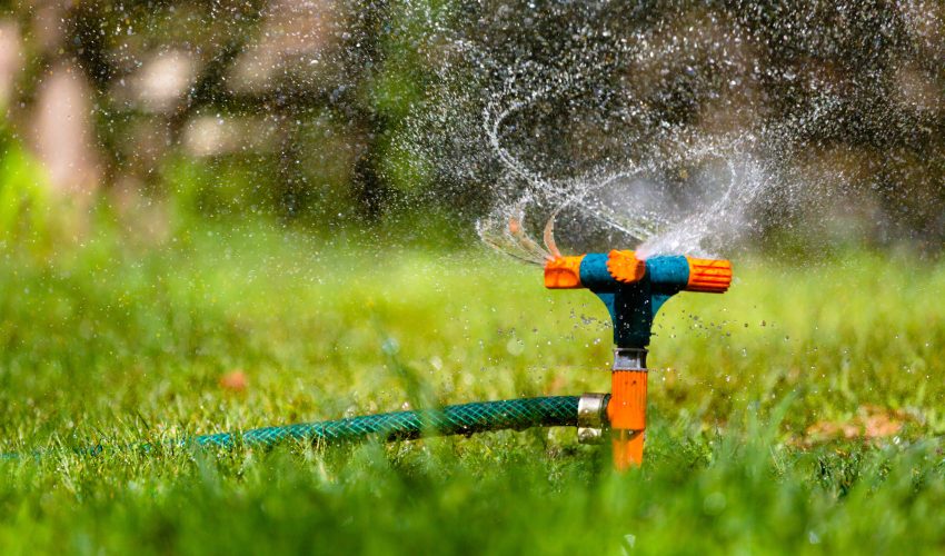 Garden sprinkler watering grass at sunset and rainbow