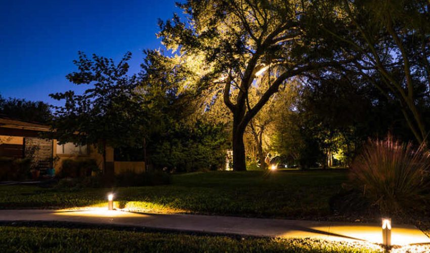 Light-Your-Large-Trees