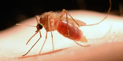 cpipmol20172_underH2O