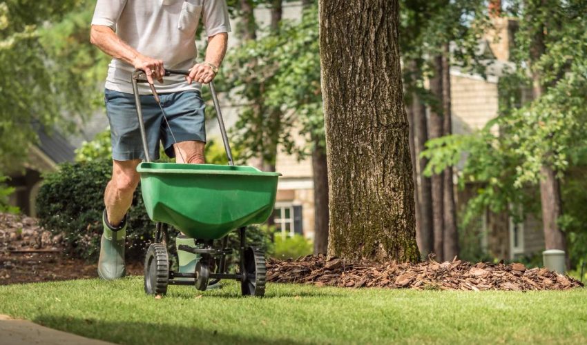fertilizing-lawn