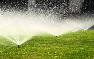 garden sprinkler on a sunny summer day during watering the green lawn