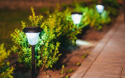Decorative Small Solar Garden Light, Lanterns In Flower Bed In Green Foliage. Garden Design. Solar Powered Lamps In Row