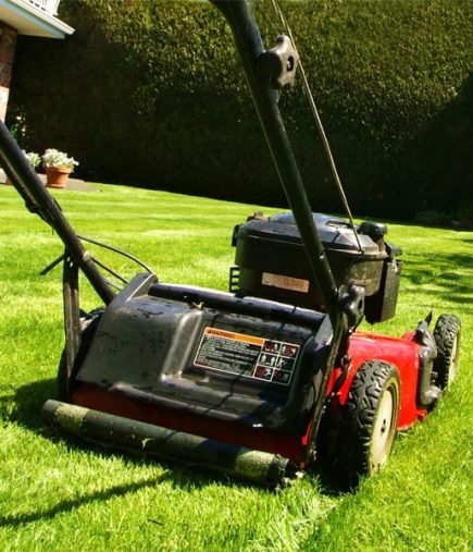 lawn-care-600X600
