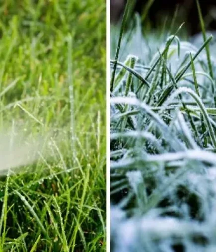 winterize-irrigation-colorado-jpg-600x400