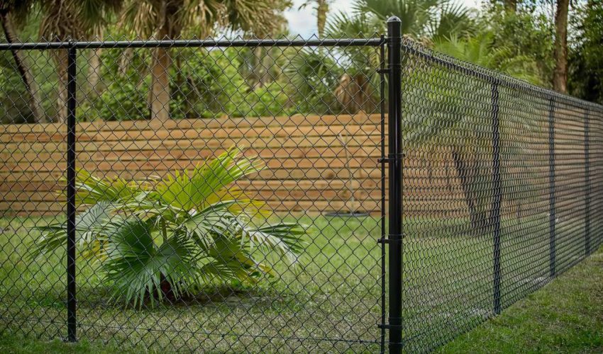 yard-with-black-chain-Link-Fence-1024x683
